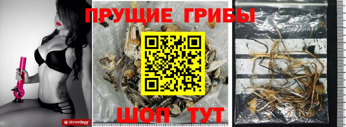 Соль-Илецк  Псилоцибиновые грибы GOLDEN TEACHER  Вход с VPN 