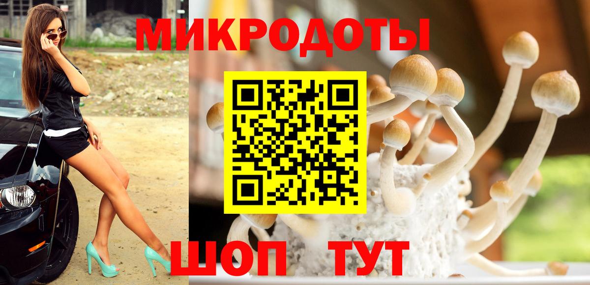Псилоцибиновые грибы Magic Shrooms Соль-Илецк